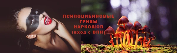 Альфа ПВП Куйбышев