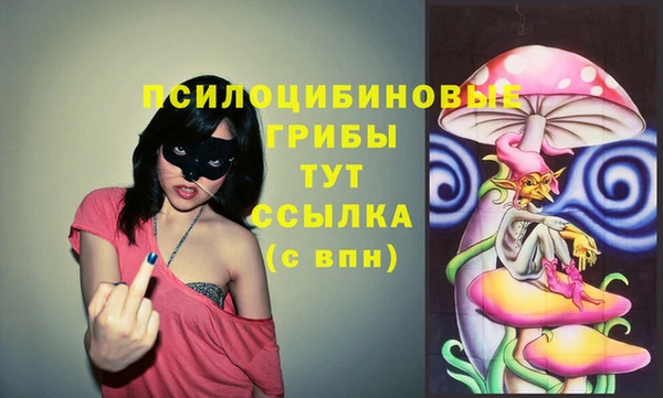героин Анива