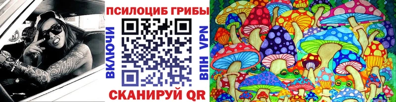 Галлюциногенные грибы мицелий  купить наркоту  площадка как зайти  Нерчинск 